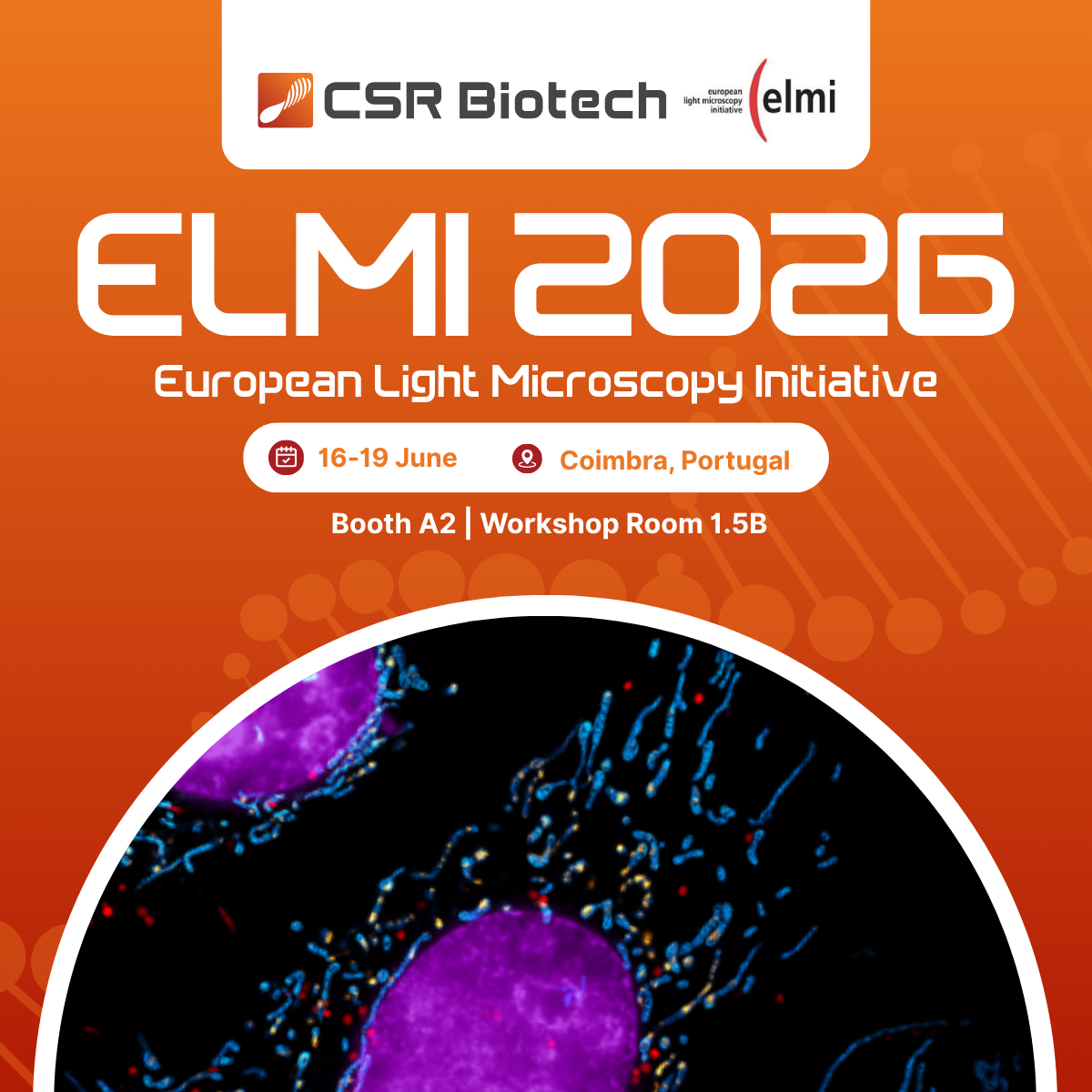 CSR Biotech | Super Resolution Imaging
