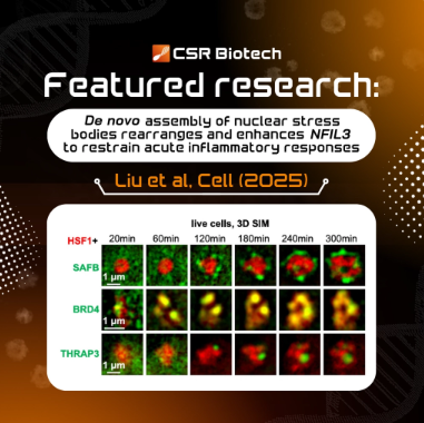 CSR Biotech | Super Resolution Imaging