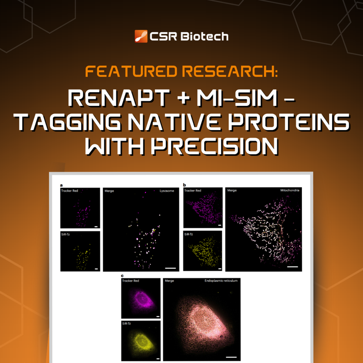 CSR Biotech | Super Resolution Imaging